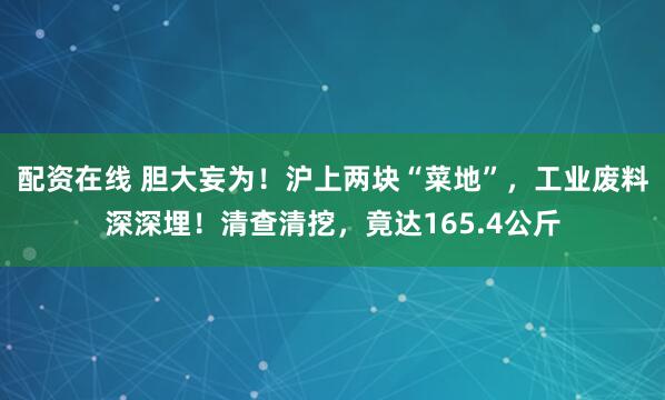 配资在线 胆大妄为！沪上两块“菜地”，工业废料深深埋！清查清挖，竟达165.4公斤